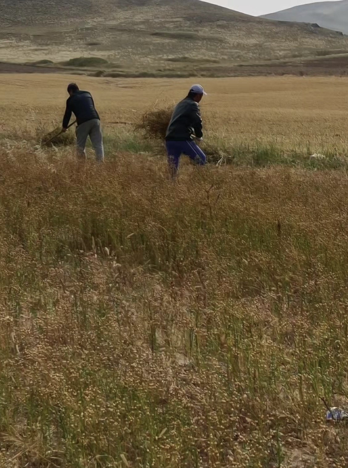 中国·太阳集团tcy8722(股份有限公司)-官方网站